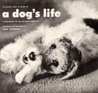 Actual Story in Sound of a Dog's Life Tony Schwartz Primary Artist