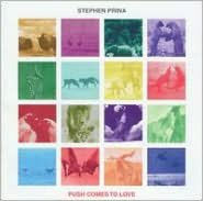 Push Comes to Love - Stephen Prina
