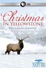 Nature: Christmas in Yellowstone Shane Moore Director