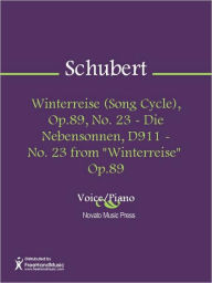 Winterreise (Song Cycle), Op.89, No. 23 - Die Nebensonnen, D911 - No. 23 from 