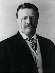 Hero Tales from American History - Theodore Roosevelt