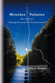 Mouches Volantes: Eye Floaters as Shining Structure of Consciousness - Floco Tausin