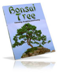 Growing Bonsai Trees AAA+++ DigitalBKs 998 Editor