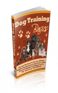 Dog Training Basics Jimmy Cai Author