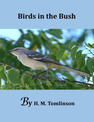 Birds in the Bush - Bradford Torrey
