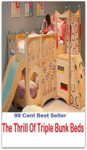 99 Cent Best Seller The Thrill Of Triple Bunk Beds ( article of furniture, furniture, piece of furniture, movable, furnishings, mobilier, moveable, meubles, furnishing, personal )