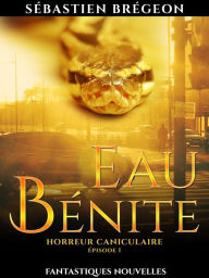 Eau bénite Sébastien Brégeon Author