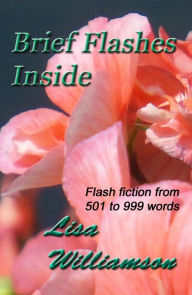 Brief Flashes Inside Lisa Williamson Author
