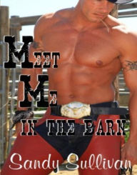 Meet Me in the Barn Sandy Sullivan Author