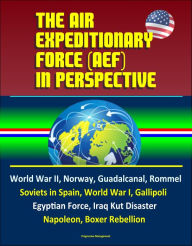 The Air Expeditionary Force (AEF) in Perspective: World War II, Norway, Guadalcanal, Rommel, Soviets in Spain, World War I, Gallipoli, Egyptian Force, Iraq Kut Disaster, Napoleon, Boxer Rebellion - Progressive Management