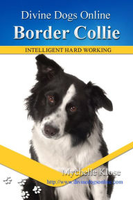 Border Collie - Mychelle Klose