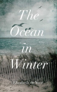 The Ocean in Winter Elizabeth de Veer Author
