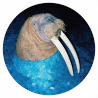 Walrus EP - Tross
