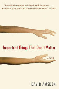 Important Things That Don't Matter: A Novel - David Amsden