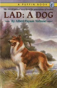 Lad: A Dog Albert Payson Terhune Author