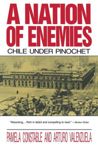 A Nation of Enemies: Chile Under Pinochet Pamela Constable Author