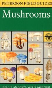 A Peterson Field Guide to Mushrooms: North America Kent H. McKnight Author