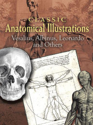 Classic Anatomical Illustrations Vesalius Author