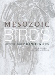 Mesozoic Birds: Above the Heads of Dinosaurs Luis M. Chiappe Editor