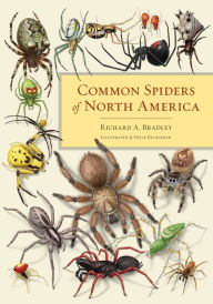 Common Spiders of North America Richard A. Bradley Author