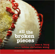 All the Broken Pieces - Ann Burg