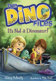 The Dino Files #3: It's Not a Dinosaur! Stacy McAnulty Author