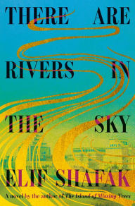 There Are Rivers in the Sky: A novel Elif Shafak Author