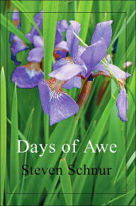 Days of Awe Steven Schnur Author