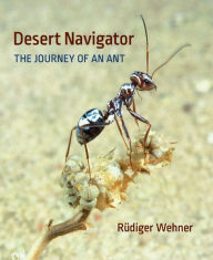 Desert Navigator RÃ¼diger Wehner Author
