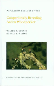 Population Ecology of the Cooperatively Breeding Acorn Woodpecker. (MPB-24), Volume 24 Walter D. Koenig Author
