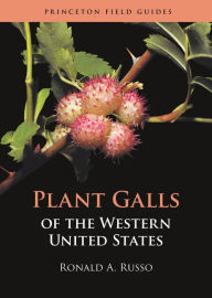 Plant Galls of the Western United States Ronald A. Russo Author