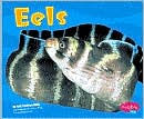 Eels - Jody Sullivan Rake