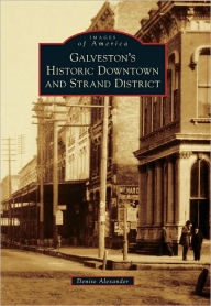 Galveston's Historic Downtown and Strand District Denise Alexander Author