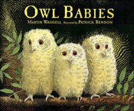 Owl Babies Big Book Martin Waddell Author