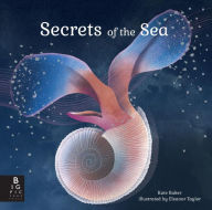 Secrets of the Sea Kate Baker Author