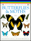 Butterflies and Moths (Pocket Guides)