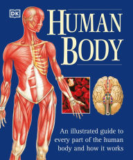 The Human Body: An Illustrated Guide to Every Part of the Human Body and How It Works Martyn Page Author