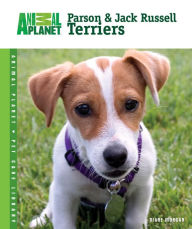 Parson & Jack Russell Terriers Diane Morgan Author