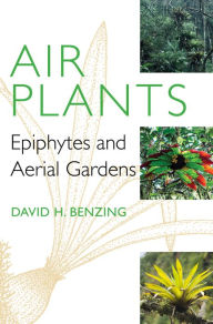 Air Plants: Epiphytes and Aerial Gardens David H. Benzing Author