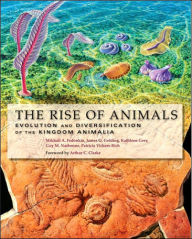 The Rise of Animals: Evolution and Diversification of the Kingdom Animalia Mikhail A. Fedonkin Author