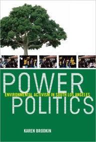 Power Politics: Environmental Activism in South Los Angeles - Karen Brodkin