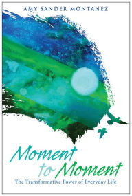 Moment to Moment Amy Sander Montanez Author