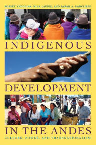 Indigenous Development in the Andes: Culture, Power, and Transnationalism - Robert Andolina