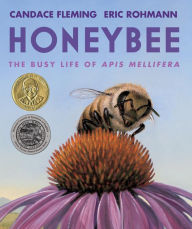 Honeybee: The Busy Life of Apis Mellifera Candace Fleming Author