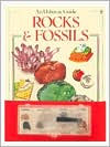 Rocks and Fossils (Usborne Kidkits)