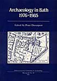 Archaeology in Bath 1976-1985: Excavations at Orange Grove, Swallow Street, The Crystal Palace, Abbey Street Peter Davenport Author