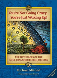You're Not Going Crazy . . . You're Just Waking Up!: The Five Stages of the Soul Transformation Process Michael Mirdad Author