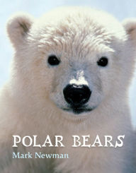 Polar Bears - Mark Newman