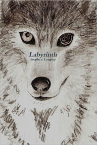 Labyrinth - Stephen Langley