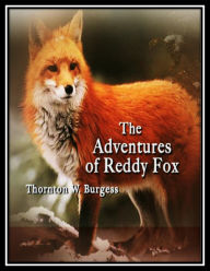 The Adventures of Reddy Fox Thornton W. Burgess Author